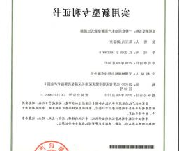 一种食用油生产用新型袋式过滤器  