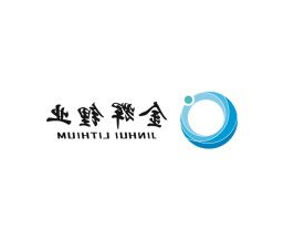 金辉锂业  