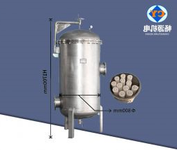 12芯大流量保安过滤器  