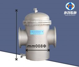 800篮式过滤器  